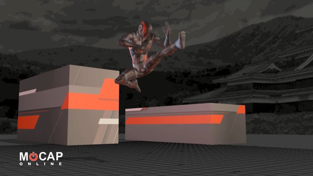 Product Overview: Ninja 3D Character Animation Pack