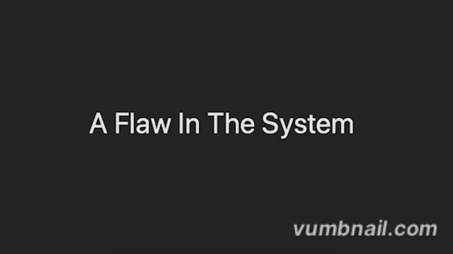 A Flaw In The System still
