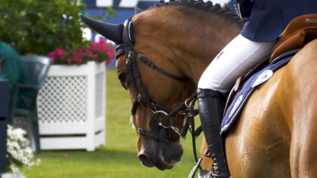 Longines World Champions Tour 2019