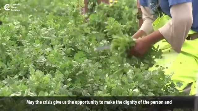 Pope prays for farmworkers amid pandemic