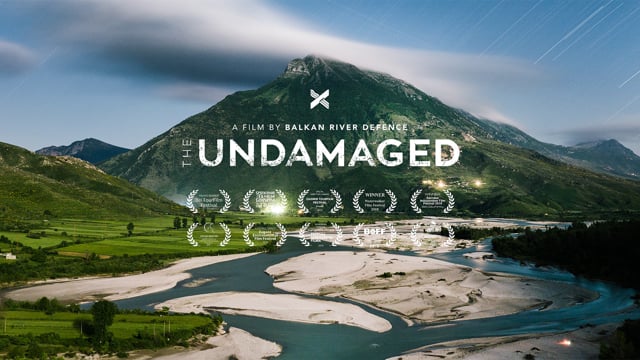 The Undamaged