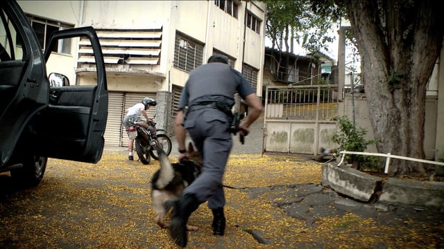 Hero Dogs Action Sequence 02