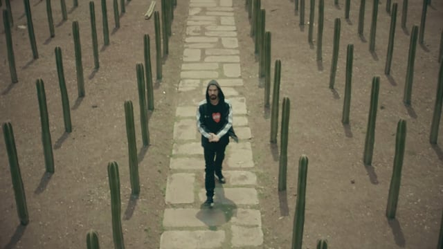 Tino El Pinguino &mdash; Spotlight ONErpm