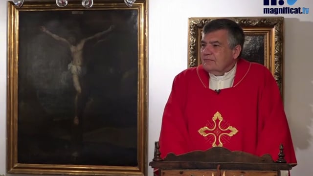 Homilía, Domingo de Pentecostés (30.05.2020)