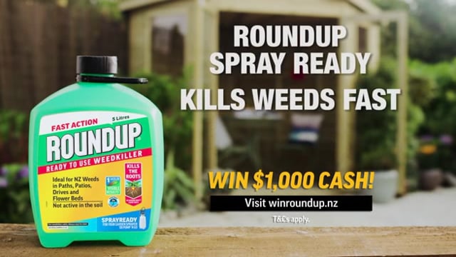 Vimeo video thumbnail