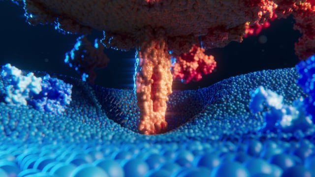 Vimeo video thumbnail