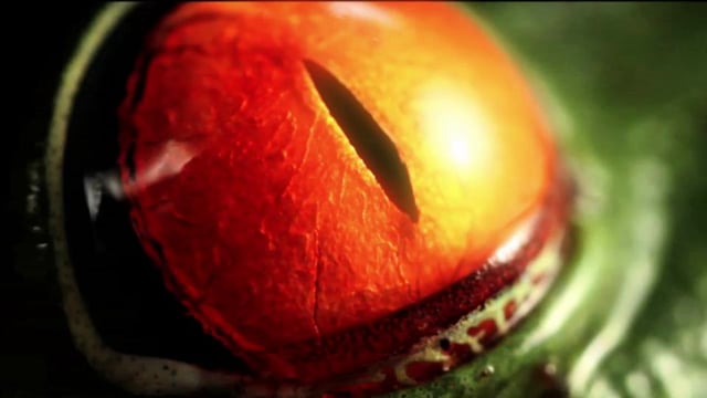 Speed of Life - Motion Graphics Video
