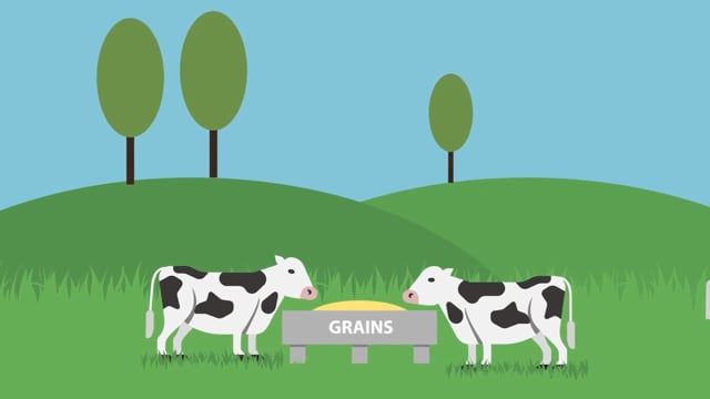 Vimeo video thumbnail