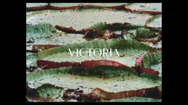 VICTORIA | Trailer