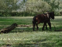teaser "Breton" de Christophe Switzer 2020