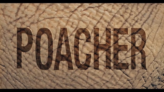 Poacher