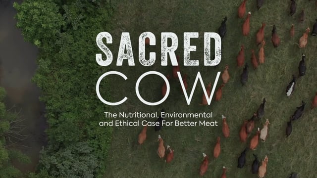 Sacred Cow Trailer