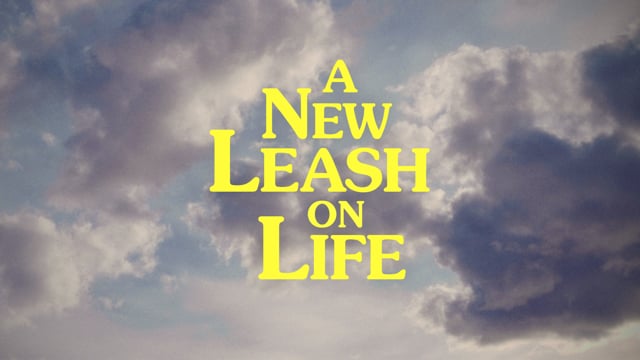 A New Leash On Life - Trailer (2020)