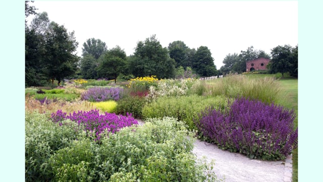 Piet Oudolf – Block, Matrix, Scatter