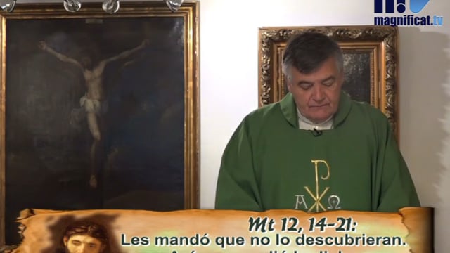 Homilía, Sábado, XV Semana del Tiempo Ordinario | 18.07.2020 |