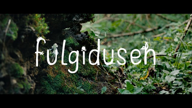 Fulgidusen