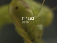 Voix-Off - Français - The Last Spring - Sébastien Guéry
