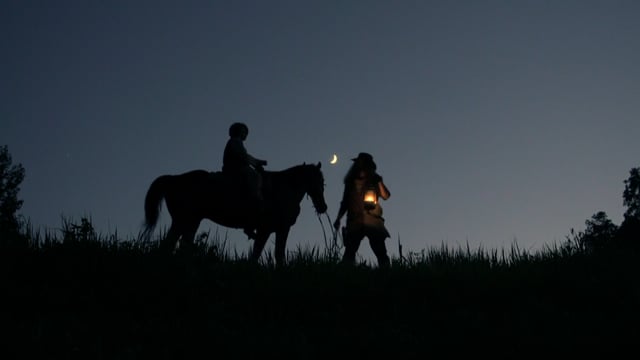 The Wanderer
