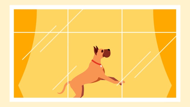 BarkBusters / Dog Training