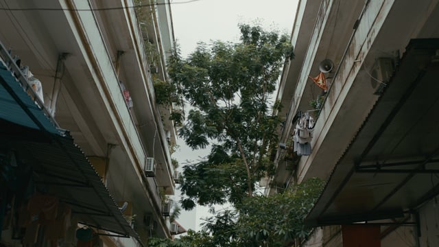 Cơm Tối | Dinner (Teaser Trailer)