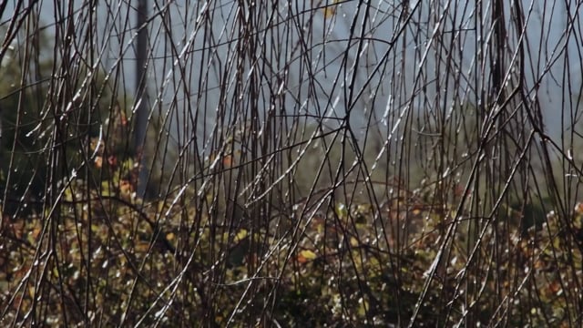 Frontera Trailer