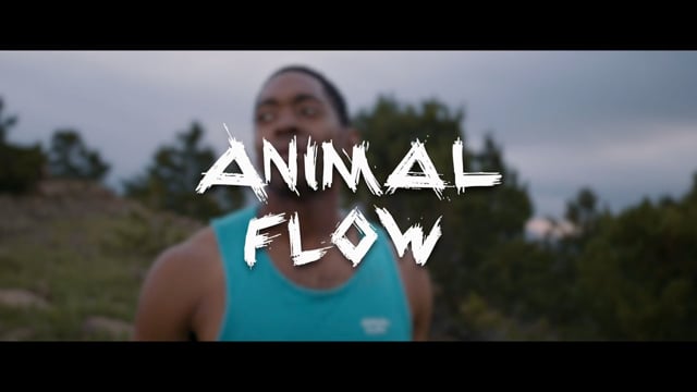 Animal Flow — Branded Content