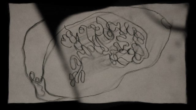 In A Mere Metamorphosis (Trailer)