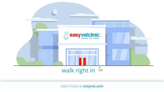 Easyvet clinic: an overview