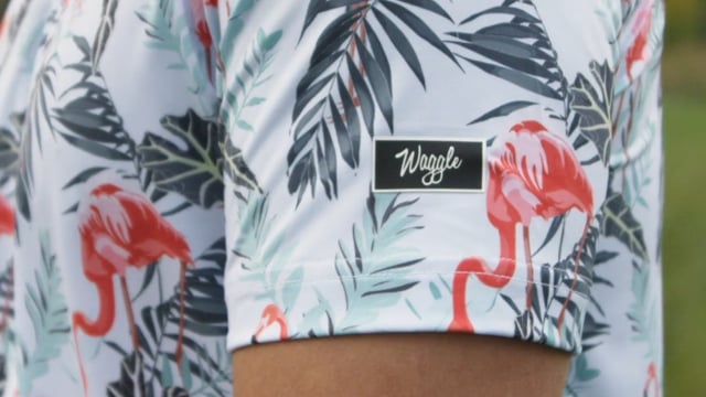 Waggle 1 — Social Media Shorts, Product Demos | Filmhaus