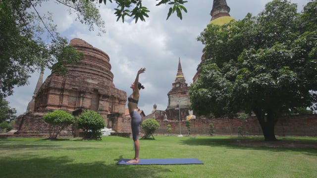 MY Yoga Detox