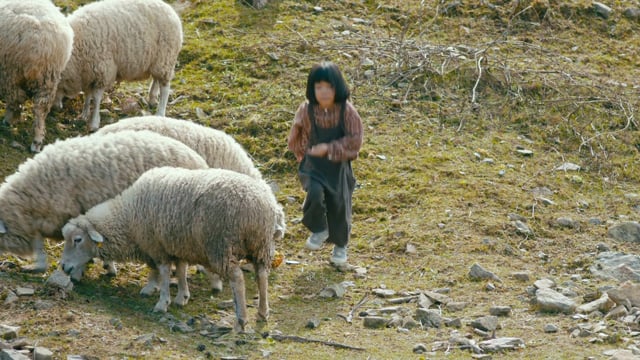 A Distant Place_EN_Trailer