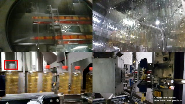 Lanzamiento de Pandia v2.0 - Video 2