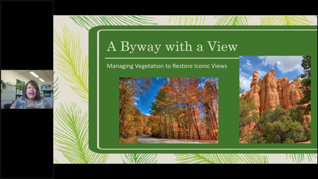Managing Visual Quality - Video Preview