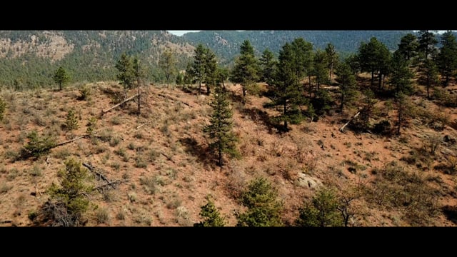 The Little Beaver Inn video 1