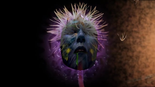 Tell Me What You See Outside