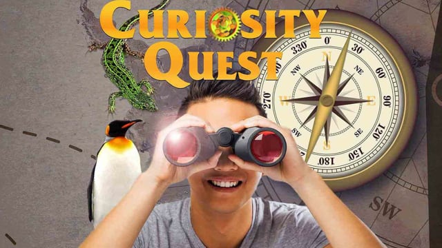 CURIOSITY QUEST- Promo