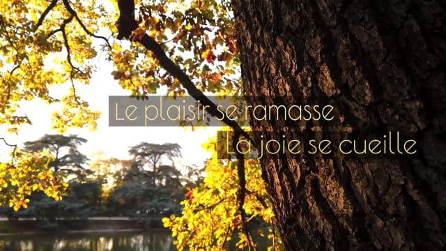 Spécial abdos en forêt