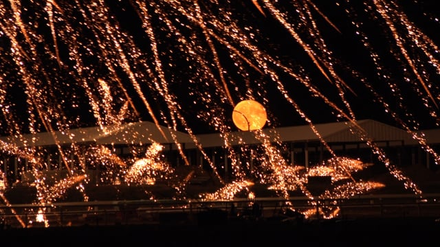Passfire Maximum Load Trailer