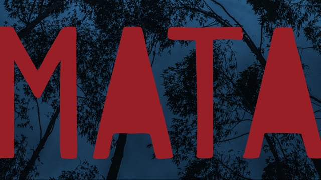 Mata