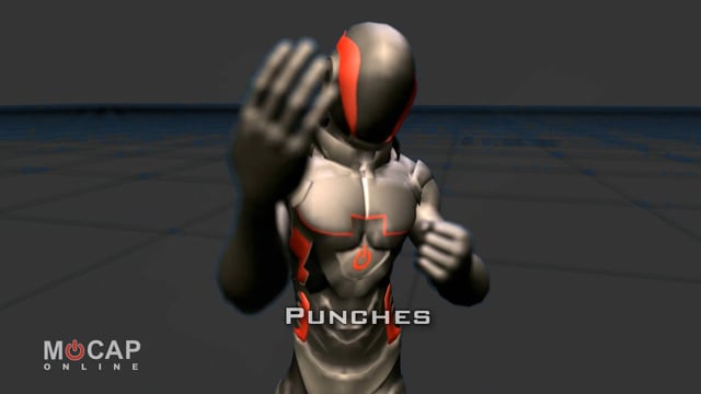 Animation Clip: Punch ~ MoCap Pack