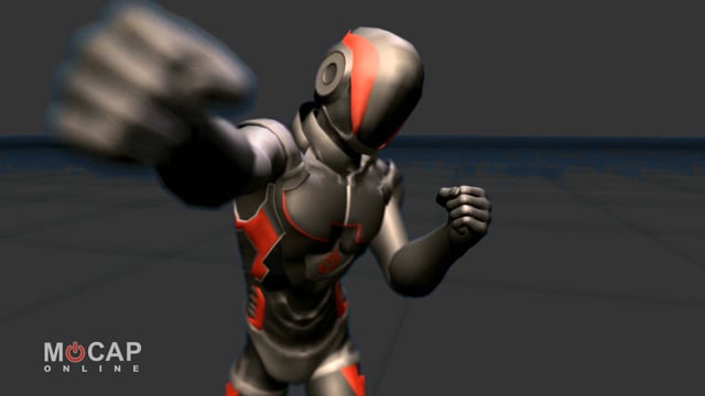 MoCap Video: Punch ~ 3D Character Animations