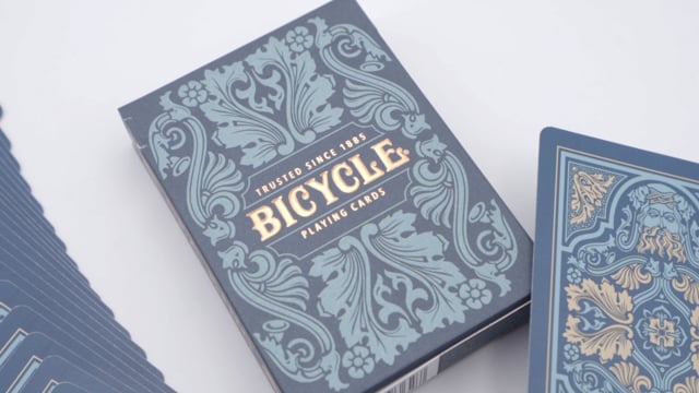 Video Bicycle - Sea King Playing Cards
