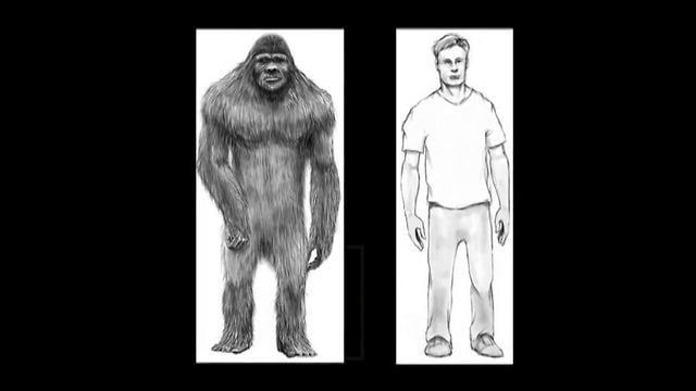 Finding Bigfoot — What Does Bigfoot Look Like?