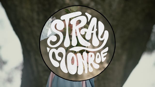 Stray Monroe — We Can Start Over — Stray Monroe