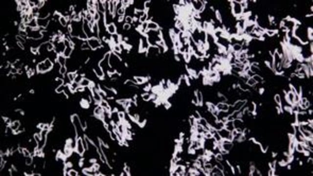 Video-Vorschau