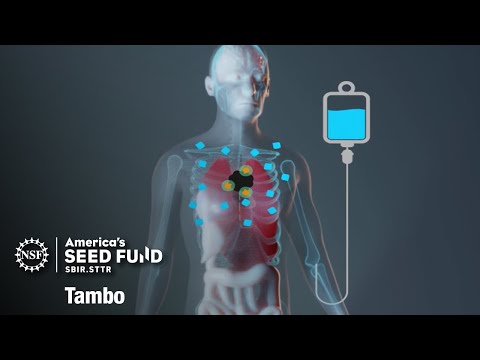 America’s Seed Fund – NSF SBIR/STTR | NSF SBIR