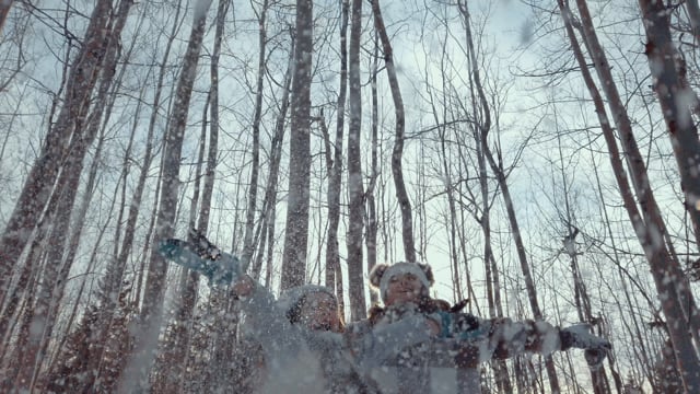 Mountain Inn at Lutsen video 1