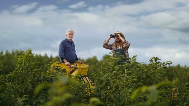 The Better Avocado (2020) video 1