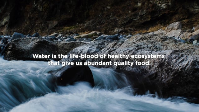 Water is the life-blood of healthy ecosystems that give us abundant quality food