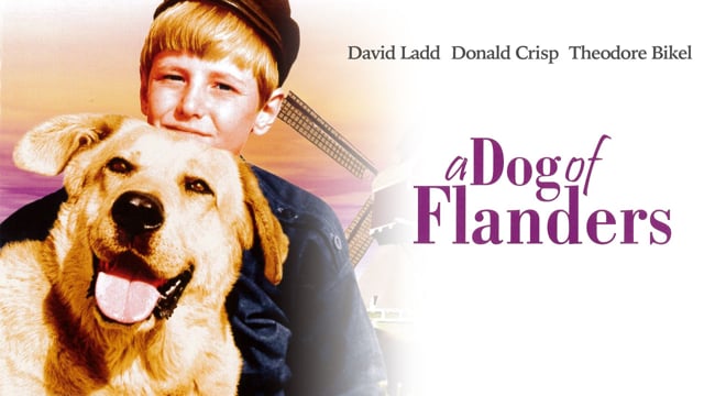 A DOG OF FLANDERS - Trailer